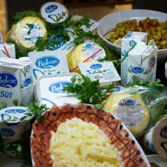 Fimar Life Thermal Resort Hotel питание