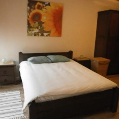 Апартаменты Saint Ivan Ski Apartments Студия