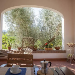 Отель Agriturismo Tra gli Ulivi Кастаньето-Кардуччи фото 4
