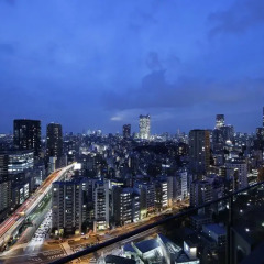 Отель Prince Park Tower Токио балкон