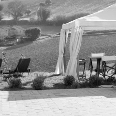 Отель Agriturismo Il Gelso Antico Италия, Реканати - отзывы, цены и фото номеров - забронировать отель Agriturismo Il Gelso Antico онлайн помещение для мероприятий фото 2