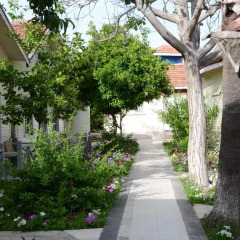 Andiz Beach Hotel фото 5