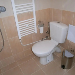 Hotel Rositsa Номер Делюкс фото 6