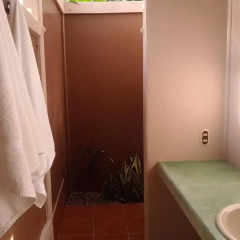 Отель Cabinas Tropicales Puerto Jimenez 3* Стандартный номер фото 2