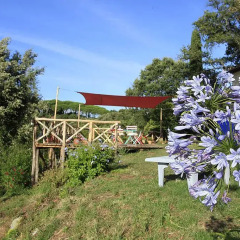 Отель Agricamping La Gallinella Кастаньето-Кардуччи фото 7