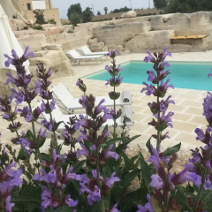 Отель Masseria Gelsi Лечче пляж