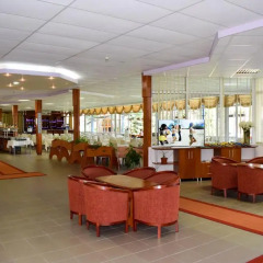 Отель Balaton Hotel Болгария, Солнечный берег - 1 отзыв об отеле, цены и фото номеров - забронировать отель Balaton Hotel онлайн гостиничный бар