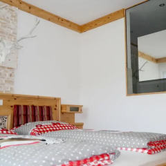 Отель Tischlmühle Appartements & mehr Студия с различными типами кроватей фото 5