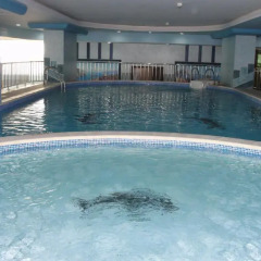 Отель Al Bustan Tower Hotel Suites ОАЭ, Шарджа - отзывы, цены и фото номеров - забронировать отель Al Bustan Tower Hotel Suites онлайн бассейн фото 2