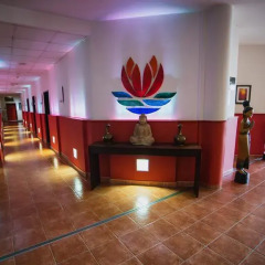 Lotus Therme Hotel & Spa Хевиз интерьер отеля фото 3
