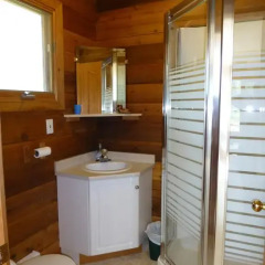 Отель Mica Mountain Lodge & Log Cabins ванная
