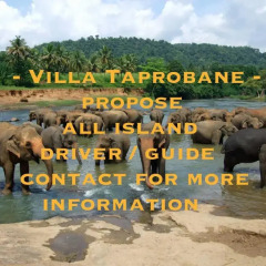 Отель Villa Taprobane