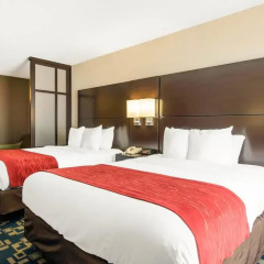 Отель Comfort Inn & Suites near Universal Orlando Resort комната для гостей фото 2