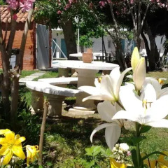 Отель Hostal Las Cumbres фото 5