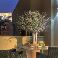 O&B Athens Boutique Hotel 4* Люкс с разными типами кроватей фото 4