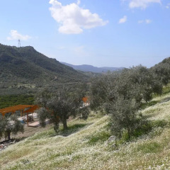 Natureland Efes 3* Стандартный номер с различными типами кроватей фото 38