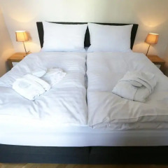 Апартаменты Greg Apartments Kampa Prague Прага комната для гостей фото 4