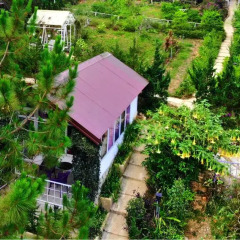 Отель Pine Hill Homestay Dalat фото 12