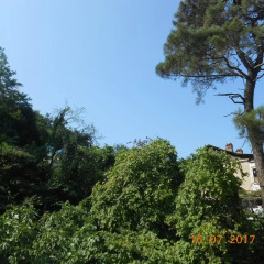 Гостиница Guesthouse Kalarasha фото 15