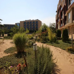 Отель Menada Dune Residence Apartments Болгария, Солнечный берег - отзывы, цены и фото номеров - забронировать отель Menada Dune Residence Apartments онлайн фото 2