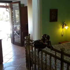 Отель B&B Le Amazzoni Лечче в номере