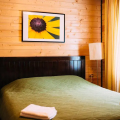 Гостиница Efimov Bor Resort Люкс разные типы кроватей фото 3