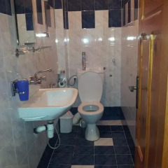 Отель Guest House Sarievi Болгария, Чепеларе - отзывы, цены и фото номеров - забронировать отель Guest House Sarievi онлайн ванная