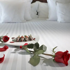 Отель Barcelo Ixtapa Beach - Все включено 3* Улучшенный номер с различными типами кроватей фото 3