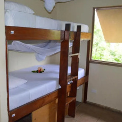 Отель Mantaray Island Resort 3* Кровать в общем номере с двухъярусной кроватью фото 2