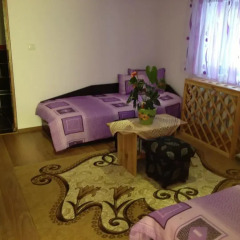 Отель Guesthouse Happy Life Болгария, Трявна - отзывы, цены и фото номеров - забронировать отель Guesthouse Happy Life онлайн удобства в номере