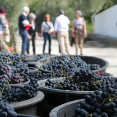 Отель Quinta de Fiães спортивное сооружение