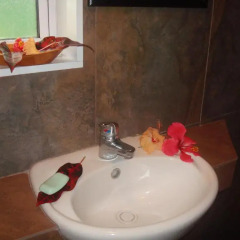 Отель Gecko Lodge Fiji Савусаву ванная