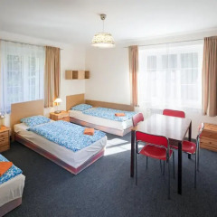 Отель Pytloun Penzion Zelený Háj 2* Стандартный номер фото 3