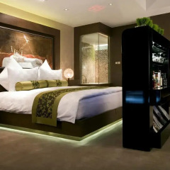 Pudi Boutique Hotel Fuxing Park Shanghai 4* Номер Делюкс с различными типами кроватей фото 3