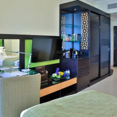 Отель The Ajman Palace 5* Номер Делюкс с различными типами кроватей фото 2