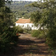 Отель Casa Rural Elanio Azul фото 4