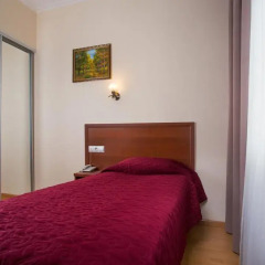 Гостиница Аветпарк 3* Стандартный номер с различными типами кроватей фото 5