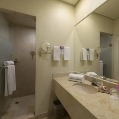 Hotel Victoria Ejecutivo 3* Стандартный номер с различными типами кроватей фото 4