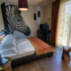 Hotel Forza Mare 5* Стандартный номер с различными типами кроватей фото 2