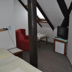 Hotel Svornost 3* Стандартный номер с различными типами кроватей фото 5