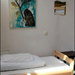 Pogo Hostel Кровать в общем номере фото 4