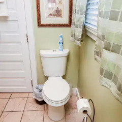 Отель Hawthorne Park Bed and Breakfast 3* Стандартный номер с различными типами кроватей фото 29