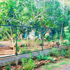 Отель Kataragama Homestay