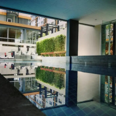 Отель The Grass Serviced Suites by At Mind развлечения