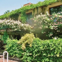 Отель Villa Rose Antiche Италия, Реггелло - отзывы, цены и фото номеров - забронировать отель Villa Rose Antiche онлайн фото 2