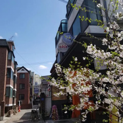 Отель Able Guesthouse Hongdae