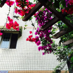 Nice House Hostel фото 10