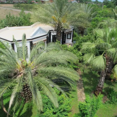 Отель Anatolia Resort Стандартный семейный номер разные типы кроватей