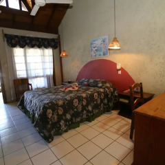 Отель XTABI Resort с домашними животными