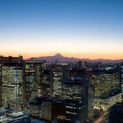 Отель Mandarin Oriental Tokyo 5* Номер категории Премиум фото 4